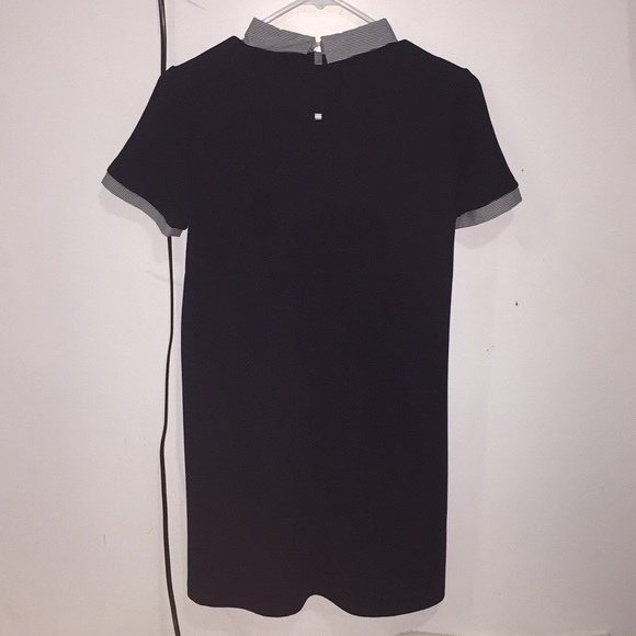 Zara Collar Dress - Picture 2 of 2